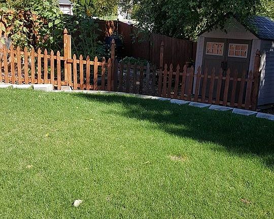 Garden and Shed Area of backyard