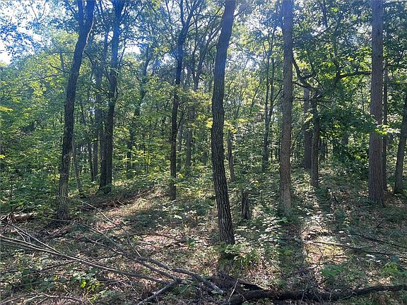4th image of Lot 32 Chipmunk Trail