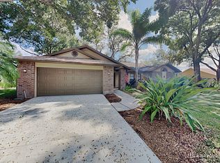 2807 S Miller Rd, Valrico, FL 33596