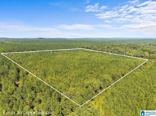 0 County Road 455 #1, Clanton, AL 35046