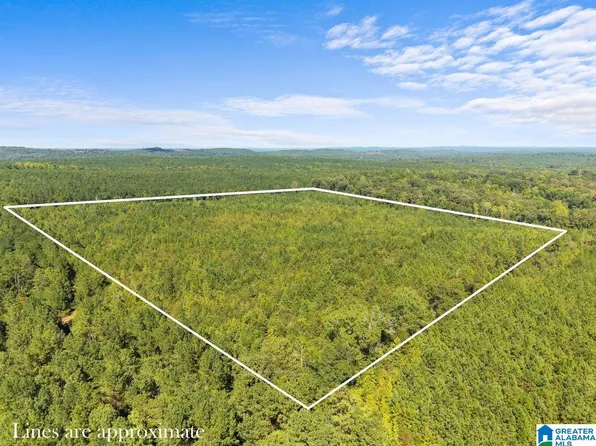0 County Road 455 #1, Clanton, AL 35046
