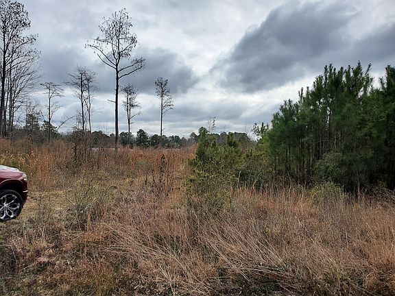 3rd image of 264 Dogwood Trl