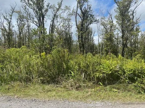 Omeka Rd Lot 62, Volcano, HI 96785