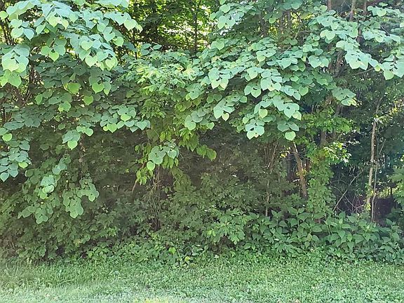 2nd image of 12 Prather Dr Lot 12