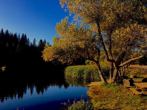 Near White Pines Lake