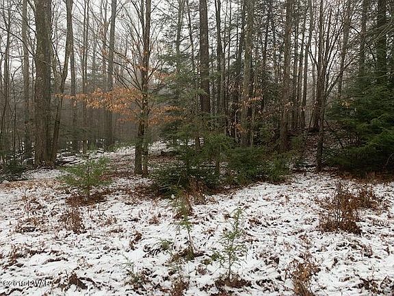 2nd image of 867 Evergreen Dr