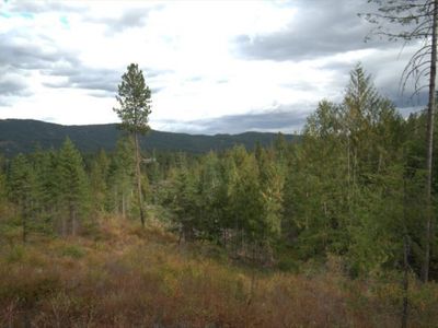 16 N Cougar Ln, Newman Lake, WA, 99025