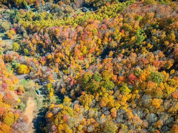 119 Hughes Hollow Rd, Roan Mountain, TN 37687