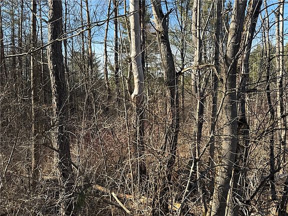 5th image of Hattie Clark Rd Lot 2