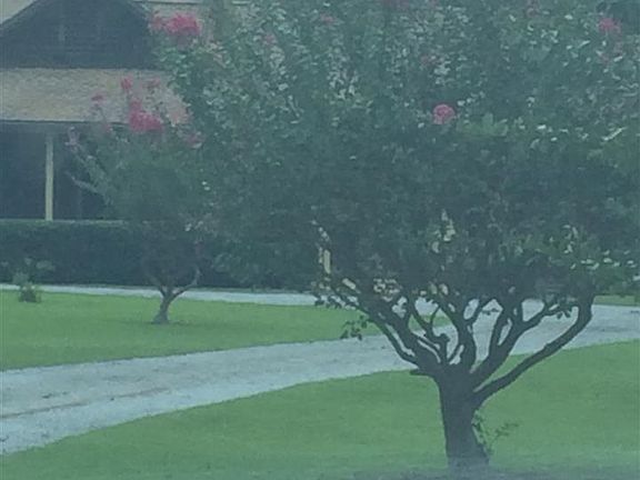 2nd image of 4849 Rosewood Dr