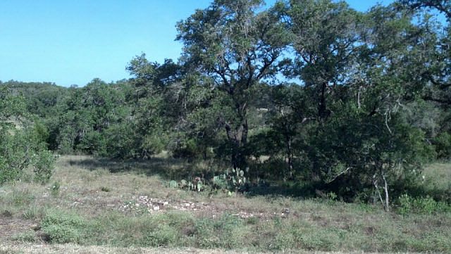 1st image of 1091 Bridlewood