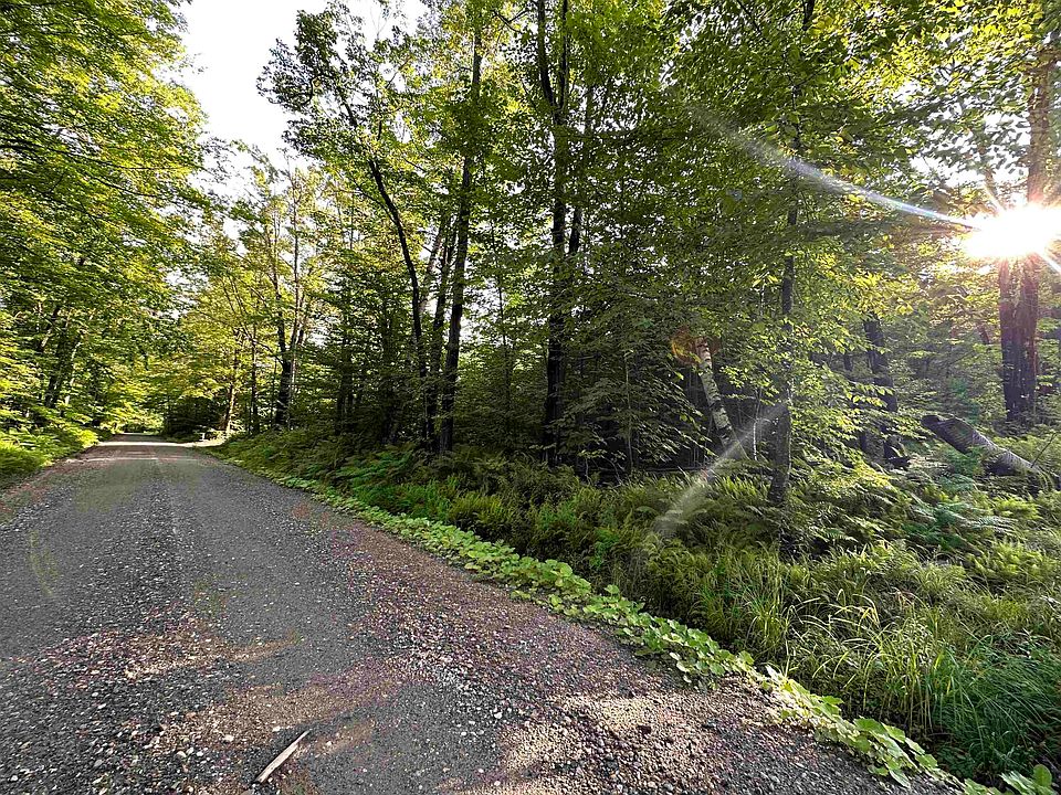 2nd image of 1995 Back Windham Road