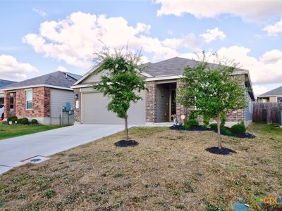 2473 Arctic Warbler, New Braunfels, TX, 78130