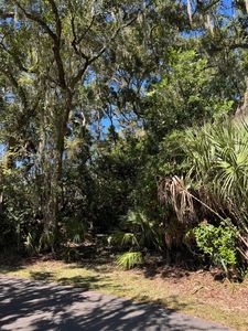 0 King Cotton Rd, Edisto Island, SC, 29438