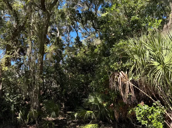 0 King Cotton Rd, Edisto Island, SC 29438