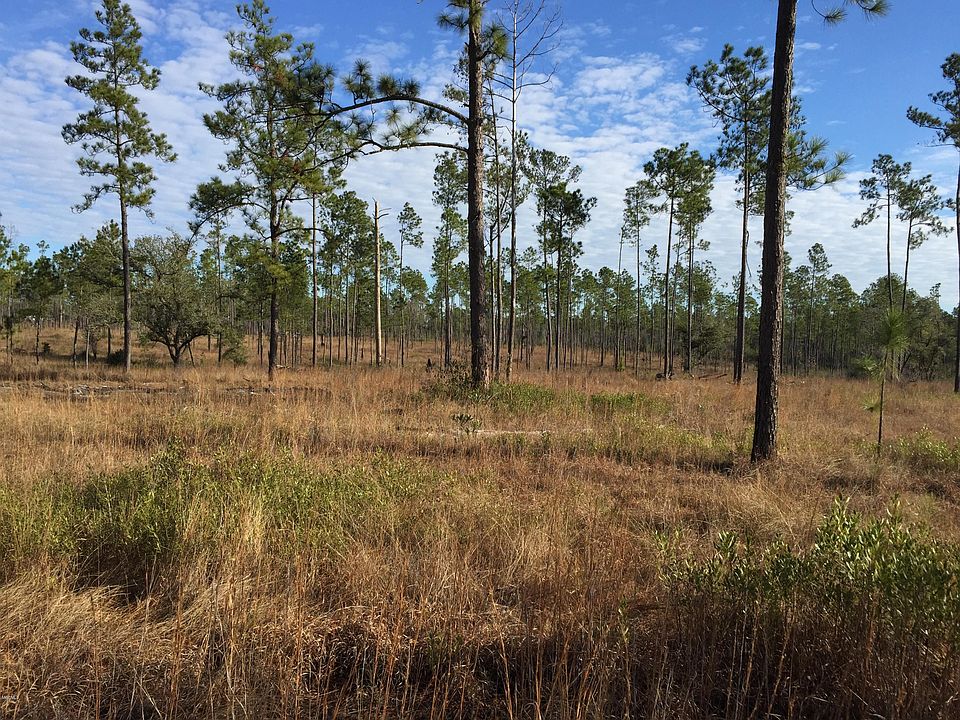 2nd image of 357 G Rd