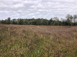 Straughn School Rd, Dozier, AL 36028