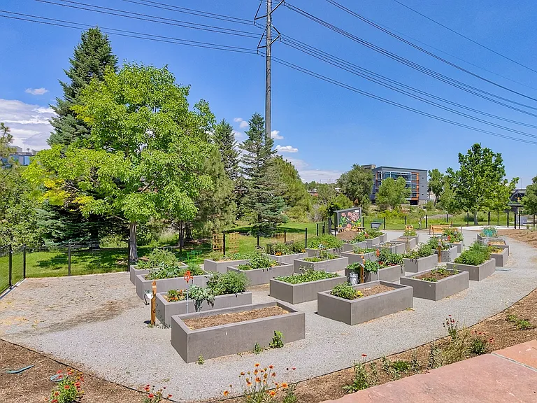 Exercise your green thumb with community gardens.