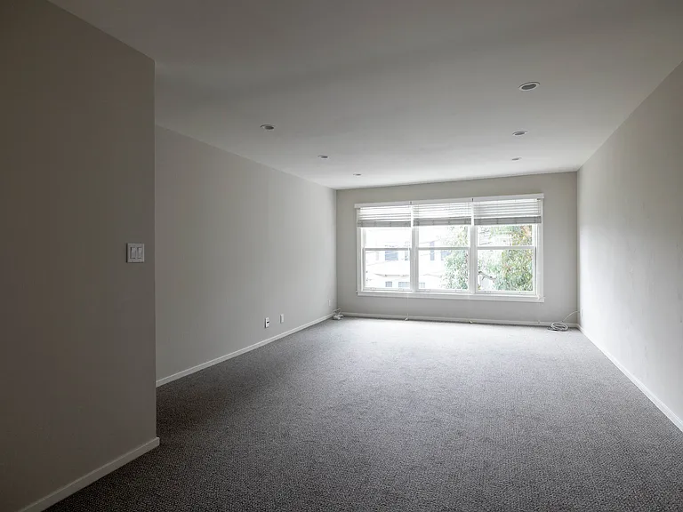 Expansive dining/living area with big windows looking out to mature tree