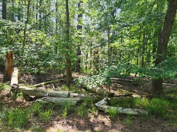 LOT 1061 Broadside Dr, Greenbackville, VA 23356