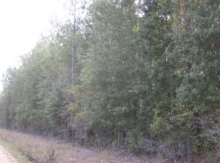0 Chester Thomas Rd, Springfield, GA 31329
