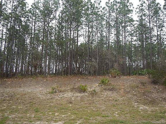 3rd image of 4865 W Mohawk Dr