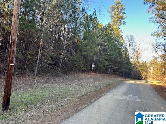 5th image of LOT 13 County Road 730 #1