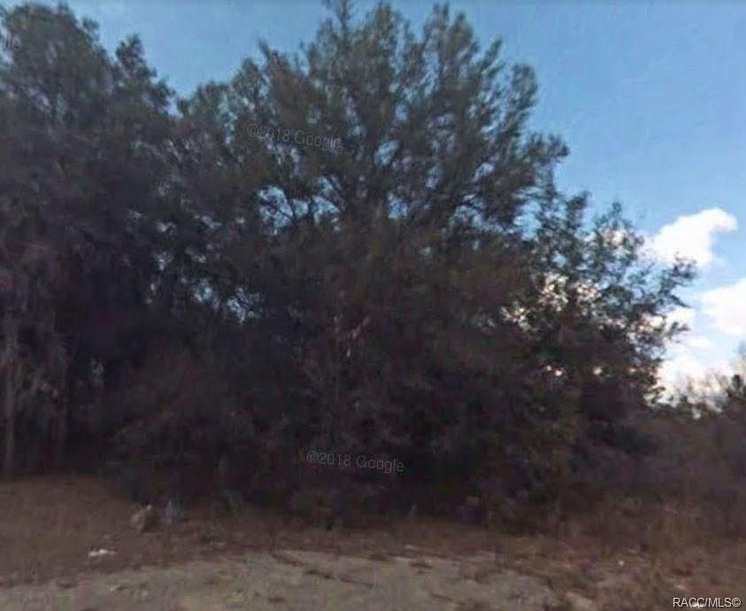 2nd image of 7524 N Iron Point