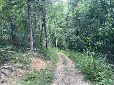 Property photo 37