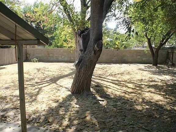 back yard