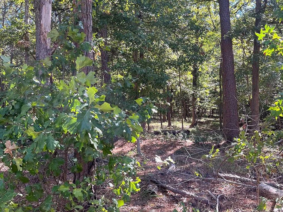 1st image of 10 Cypress Creek Dr
