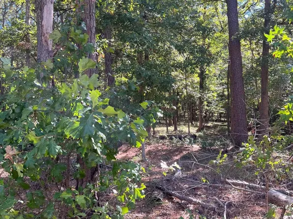 10 Cypress Creek Dr, Mount Vernon, TX 75457