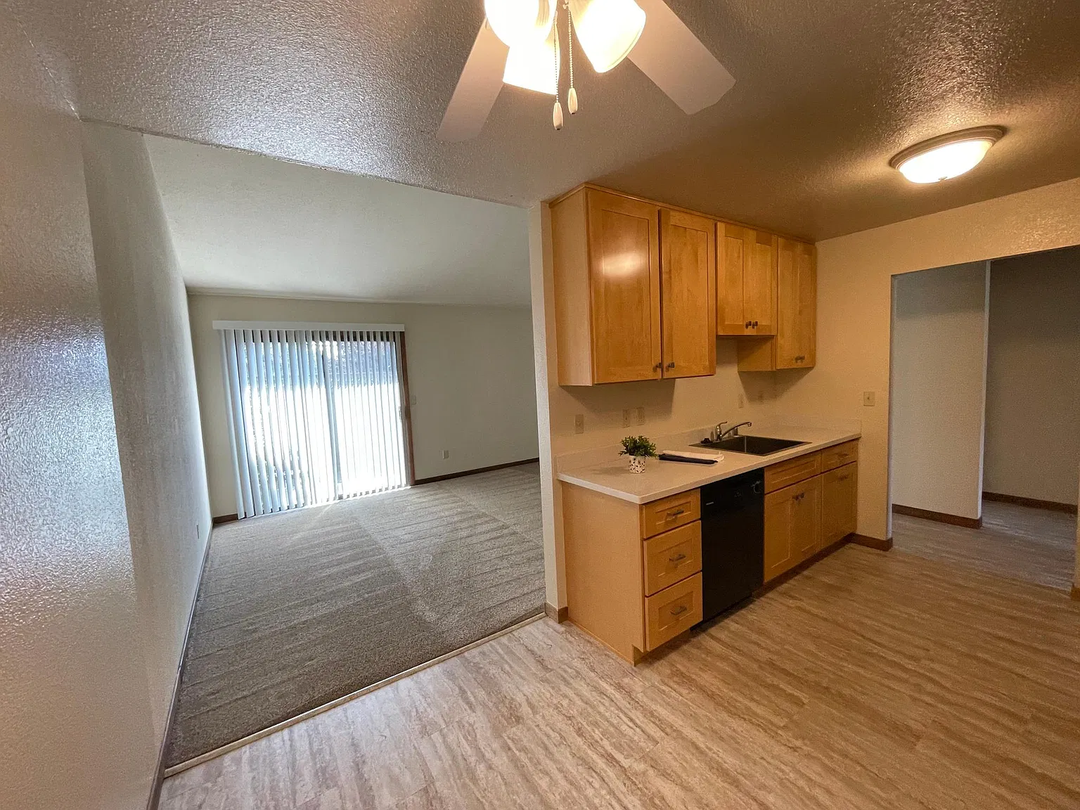 2 bed, 908 sqft, $3,395 — Photo 3