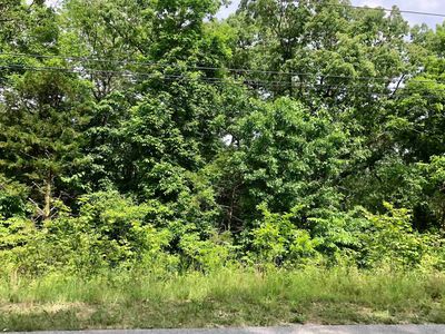 Saginaw Cir, Cherokee Village, AR, 72529