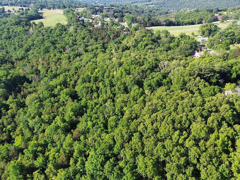 185 Tree Line Drive, Walnut Shade, MO 65771 Zillow