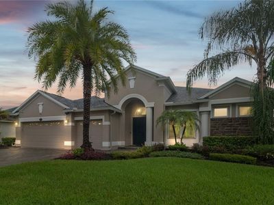 16219 Ivy Lake Dr, Odessa, FL, 33556