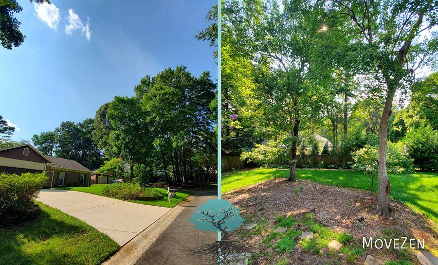 1st image of 819 Black Oak Dr