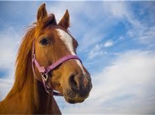 25653 Decker Prairie Rosehill Rd, Magnolia, TX 77355