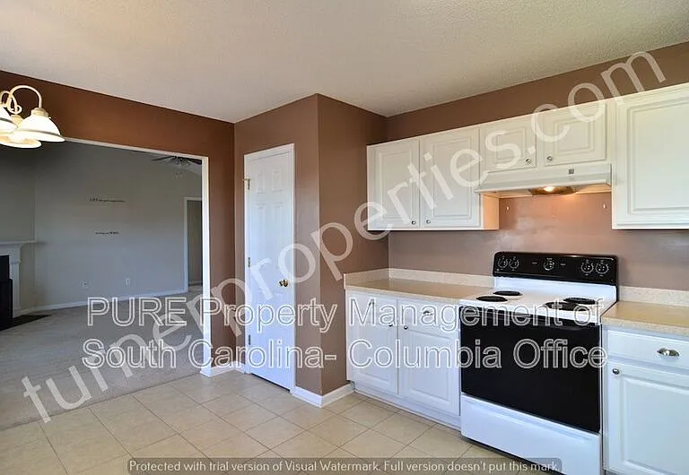 203 Summit Springs Dr — Photo 14