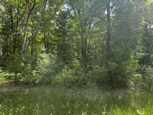 2830 W Pierce Dr, Brohman, MI 49312