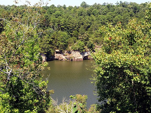 5th image of 340 County Road 1719