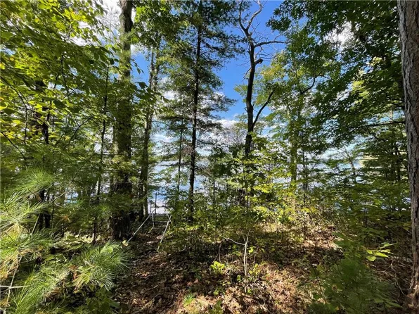 6091 Rocky Point Lane, Stone Lake, WI 54876