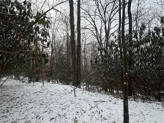 4th image of 130 and 132 Teaberry Lane