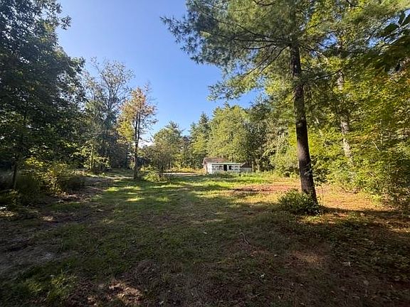 5th image of 88 Lake Road