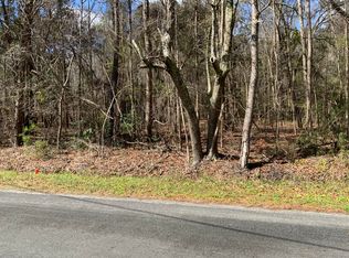 5037 Doctor Taylor Rd, Adams Run, SC 29426