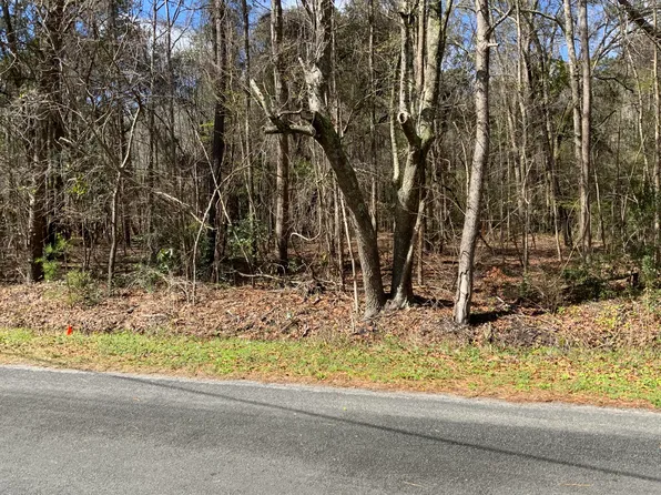 5037 Doctor Taylor Rd, Adams Run, SC 29426