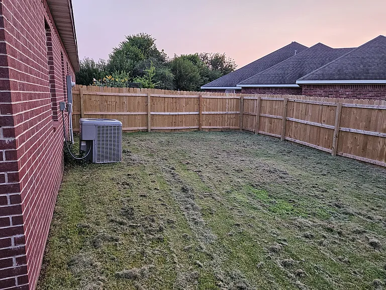 Back yard