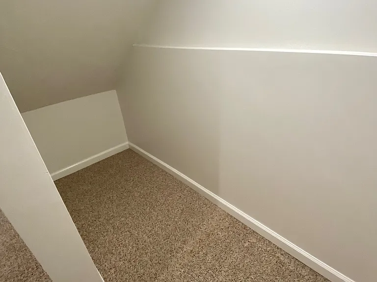 Basement Closet