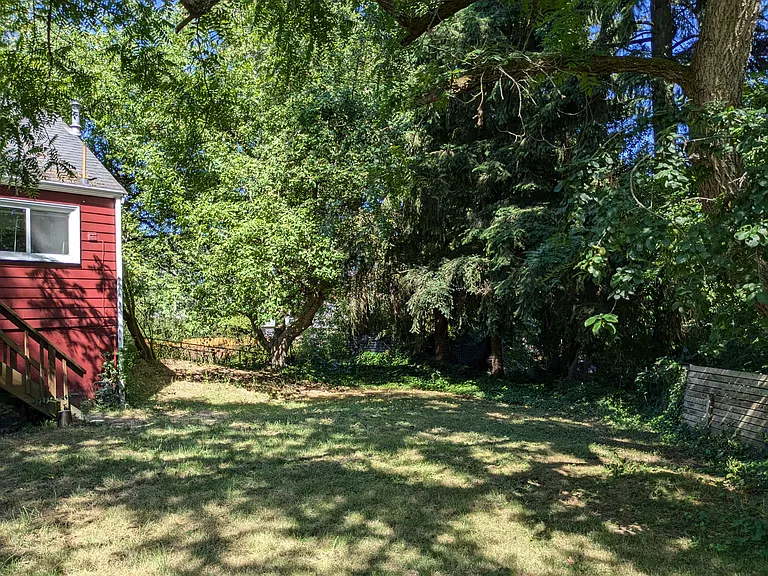 Large apple tree in the back