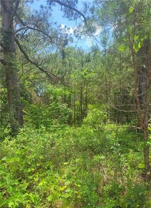 0 O'B Brown Rd, Auburn, AL, 36830
